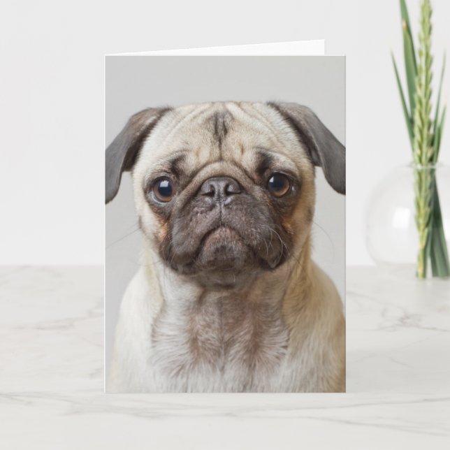 Mops-Portrait Karte (Vorderseite)