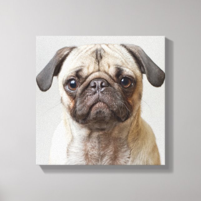 Mops Portrait Leinwanddruck (Vorderseite)