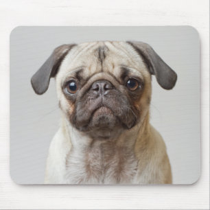 Mops-Portrait Mousepad