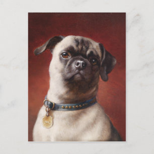 Mops Postkarte