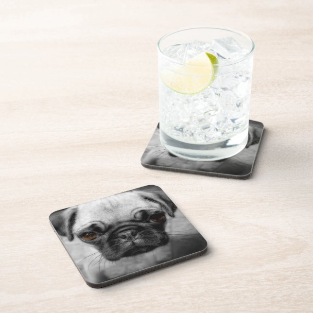 Mops Pup Getränkeuntersetzer (Rechte Seite)