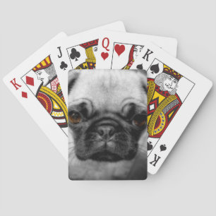 Mops Pup Spielkarten