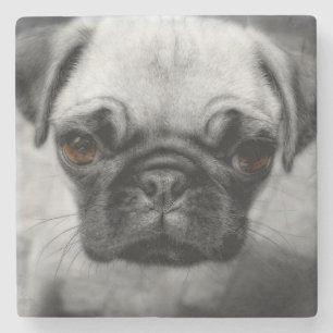 Mops Pup Steinuntersetzer