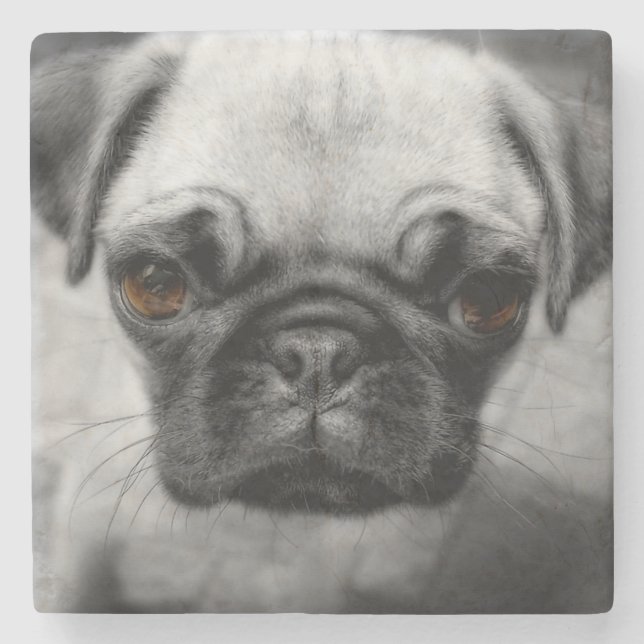 Mops Pup Steinuntersetzer (Vorderseite)