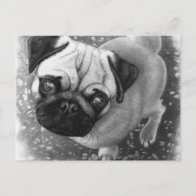 Mops Puppy Dog Art Postkarte (Vorderseite)