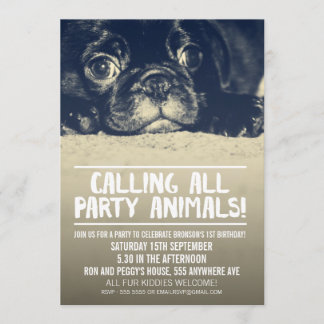 Mops Puppy Dog Party Einladung [Vollblutes Foto]