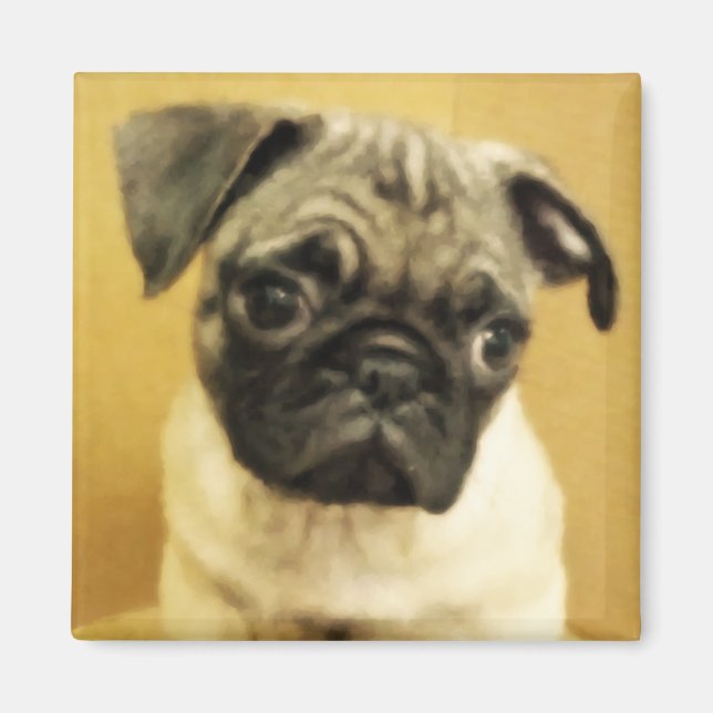 Mops Puppy Magnet (Vorne)