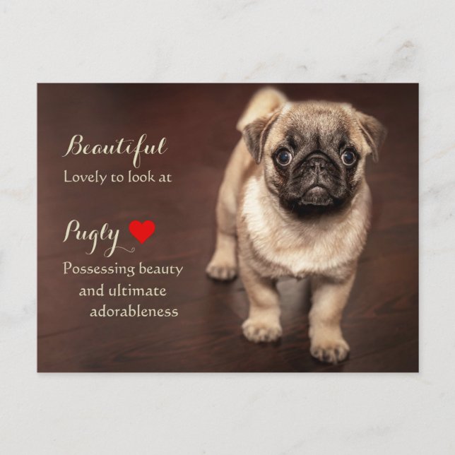 Mops Puppy Postkarte (Vorderseite)
