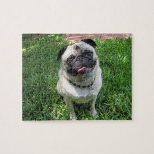 Mops-Puzzlespiel