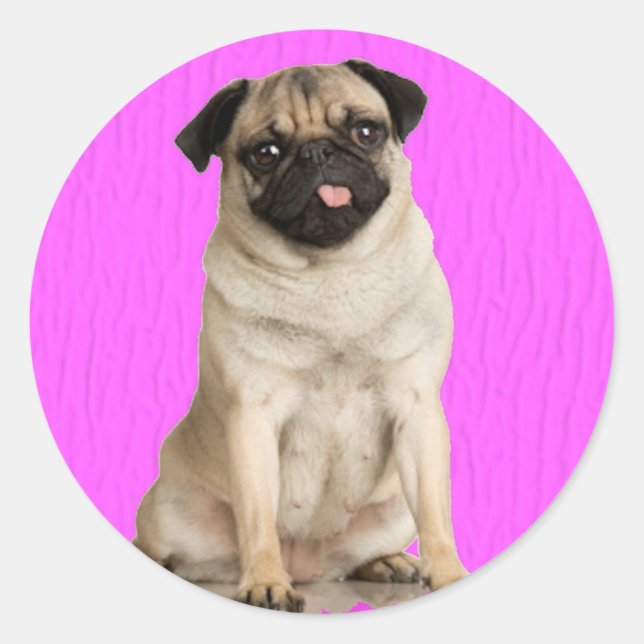 Mops Queenie Runder Aufkleber (Vorderseite)