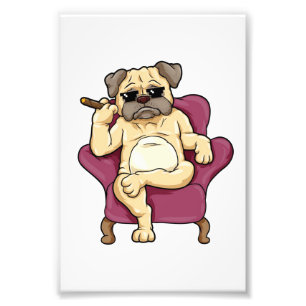 Mops Rauchen Zigar Echt Cooler Mops Hund Fotodruck