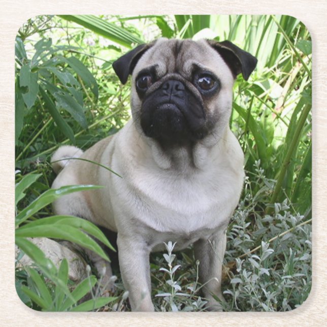 Mops Rechteckiger Pappuntersetzer (Vorderseite)