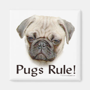 Mops-Regel Magnet