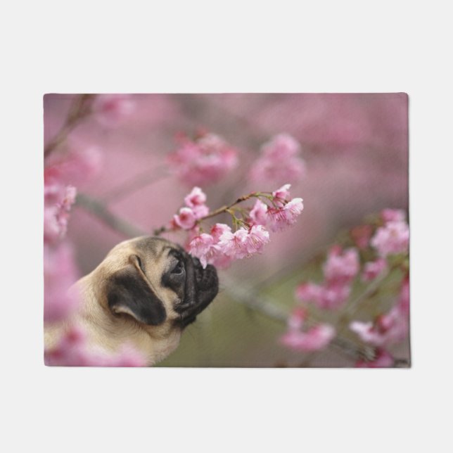 Mops riecht Kirschblüten Fußmatte (Vorderseite)