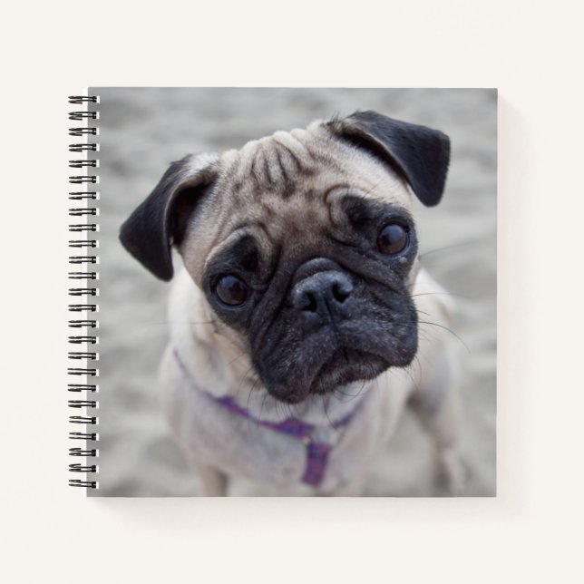 Mops schließen notizbuch (Vorderseite)