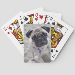 Mops-Schließung Spielkarten