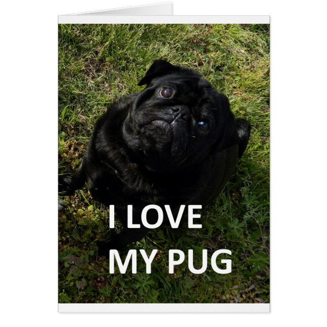 Mops schwarze Liebe w pic (Vorne)