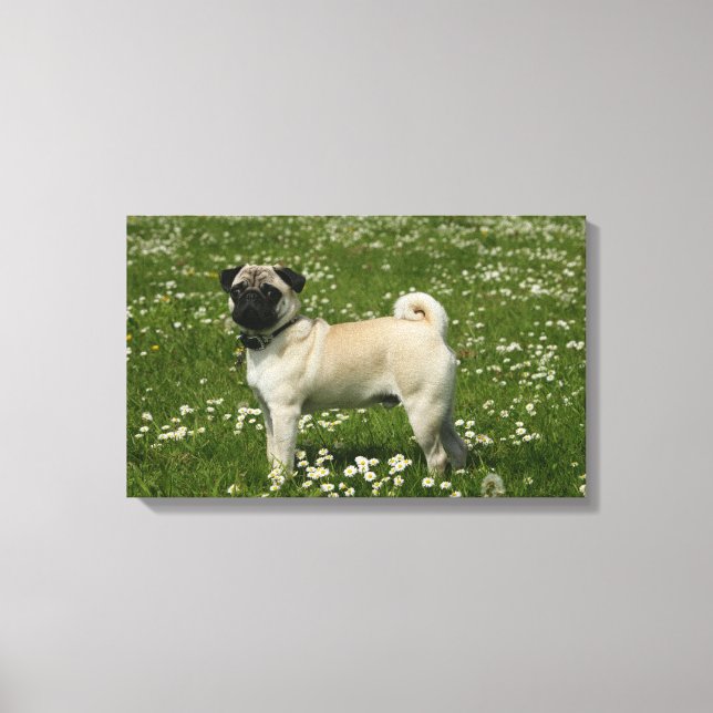 Mops spielen in Blume Leinwanddruck (Vorderseite)
