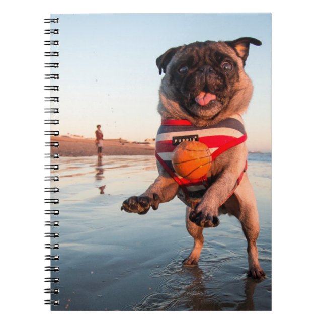 Mops spielt Ball am Strand Notizblock (Vorderseite)