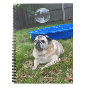 Mops-Spiral-Notebook Notizblock