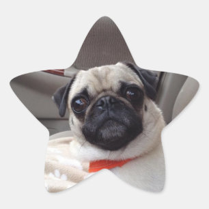 Mops Stickers