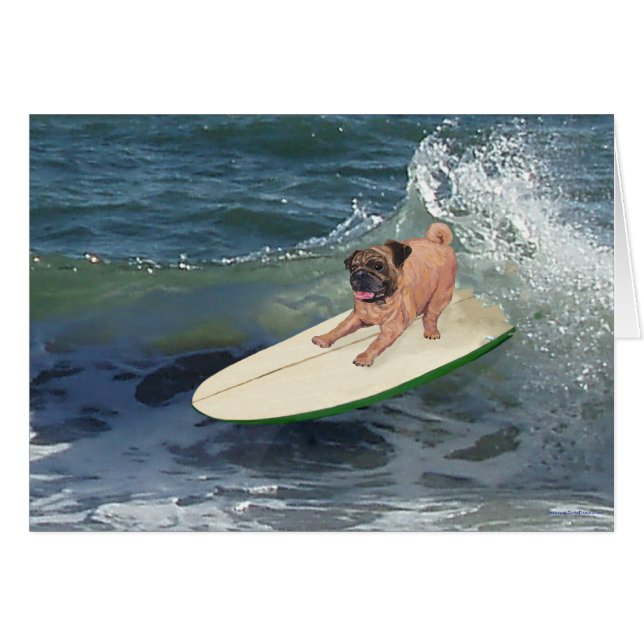 Mops Surfer Typ (Vorderseite (Horizontal))