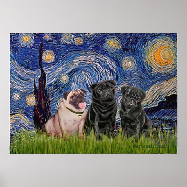 Mops Trio (1F,2B) - Starry Night Poster (Vorne)