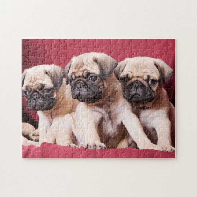 Mops-Triplets (Horizontal)