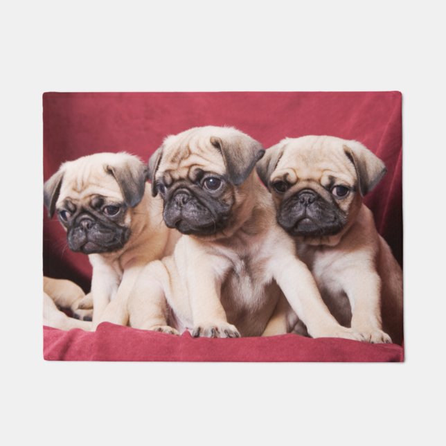 Mops-Triplets Fußmatte (Vorderseite)
