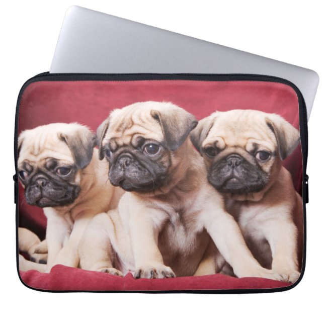 Mops Triplets Laptopschutzhülle (Vorderseite)