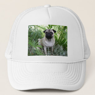 Mops Truckerkappe
