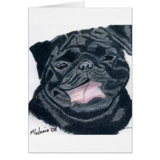 Mops- u. Bulldoggenmischung - Jaba