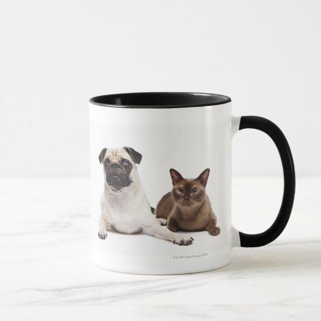 Mops und birmanische Katze Tasse (Rechts)