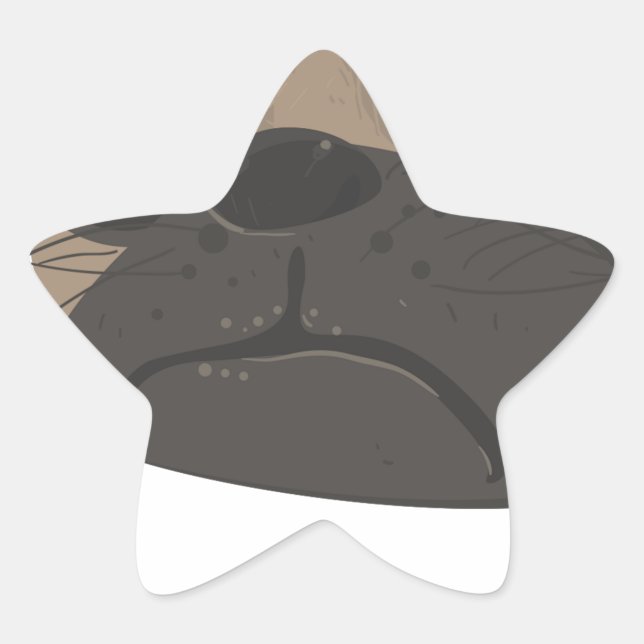 Mops und Kaffee Stern-Aufkleber (Vorderseite)