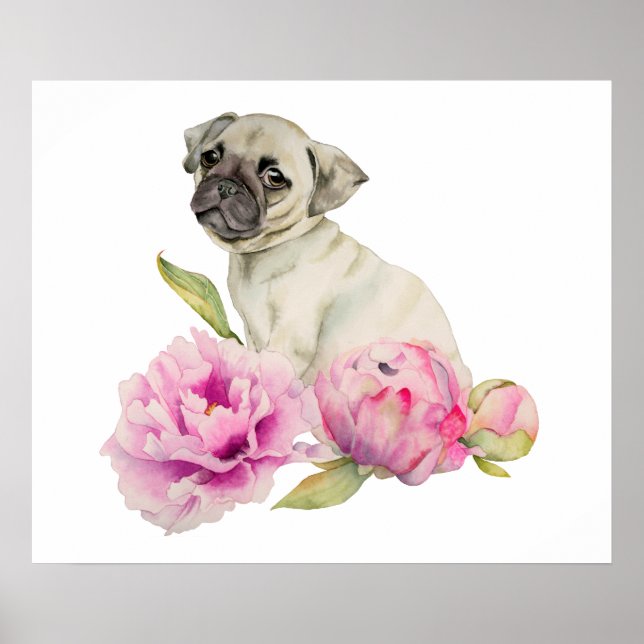 Mops und Peonies | Aquarellbilder Poster (Vorne)