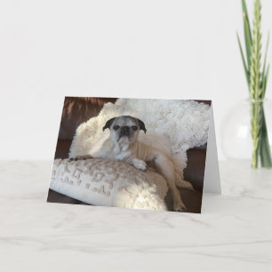 Mops Urlaubskarte Lily den Mops Karte