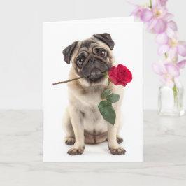 Mops Valentine Karte