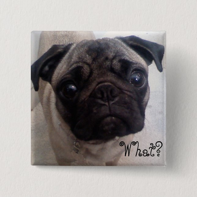 Mops was? button (Vorderseite)