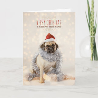 Mops-Weihnachtskarte Feiertagskarte
