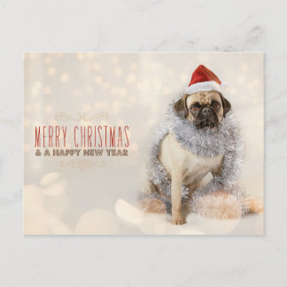 Mops-Weihnachtskarte Feiertagspostkarte