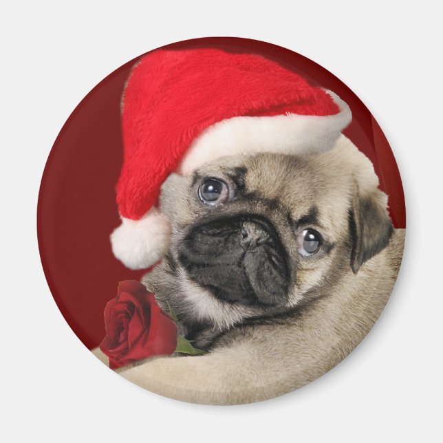 Mops Weihnachtsmagnete Magnet (Vorne)