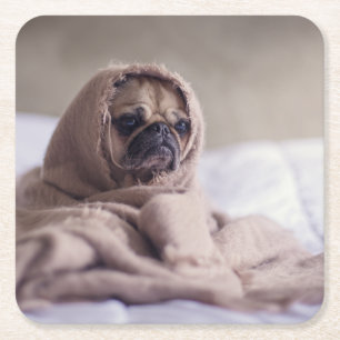 Mops Welpe Hund Cuddling in einem warmen Handtuch  Rechteckiger Pappuntersetzer