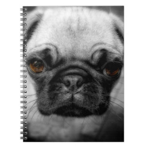 Mops-Welpe Notizblock