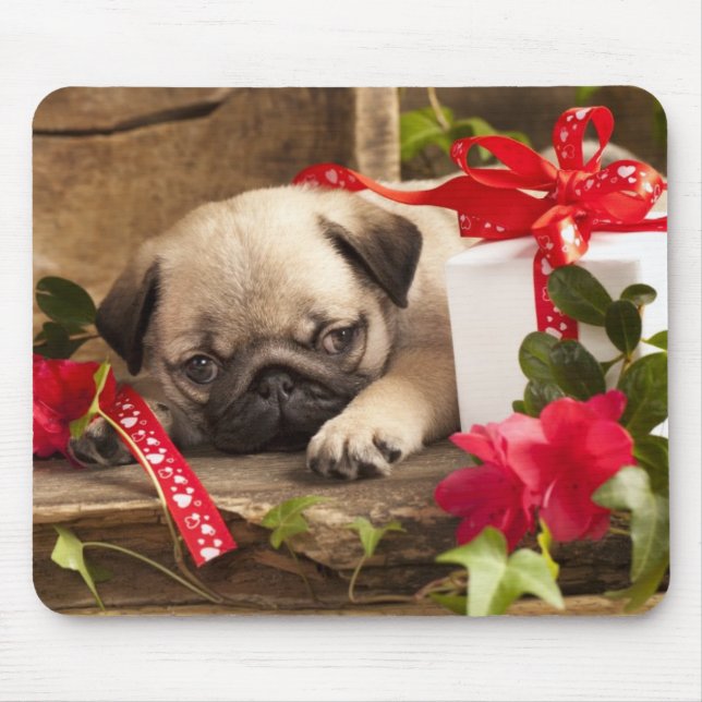Mops-Welpe und Geschenkboxen Mousepad (Vorne)