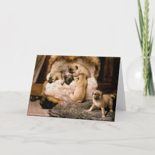 Mops Welpen Card Karte