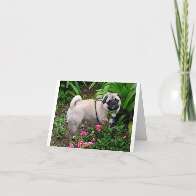 Mops Welpen-Dog-Blank-Grußkarte Karte (Vorderseite)