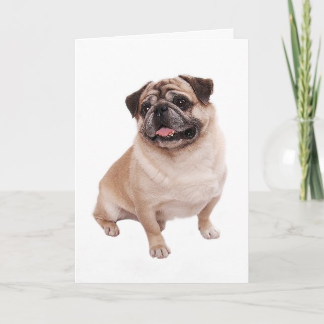 Mops Welpen-Dog-Blank-Grußkarte Karte (Vorderseite)