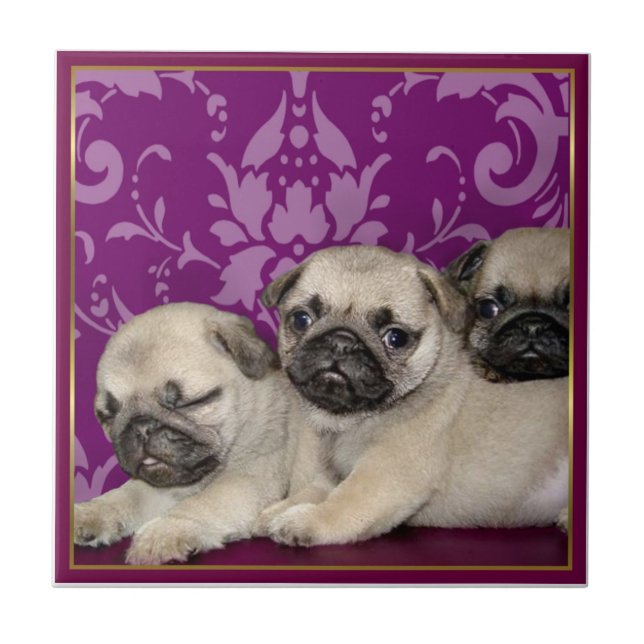Mops-Welpen Fliese (Vorderseite)