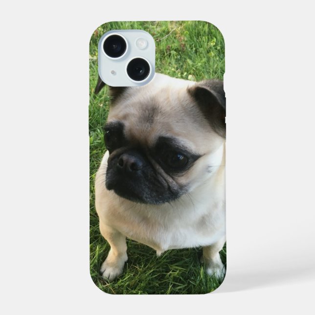 Mops-Welpen-Foto iPhone 15 Hülle (Rückseite)