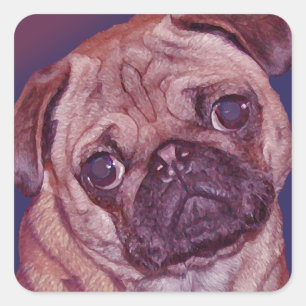 Mops-Welpen-Gesichts-Aufkleber Quadratischer Aufkleber